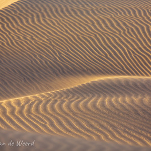 2021-10-26 - Laagstaande zon en stuivend zand<br/>Las Dunas de Maspalomas - Maspalomas - Gran Canaria - Spanje<br/>Canon EOS 5D Mark III - 400 mm - f/5.6, 1/160 sec, ISO 320
