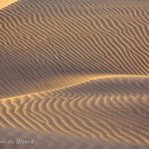 2021-10-26 - Laagstaande zon en stuivend zand<br/>Las Dunas de Maspalomas - Maspalomas - Gran Canaria - Spanje<br/>Canon EOS 5D Mark III - 400 mm - f/5.6, 1/160 sec, ISO 320