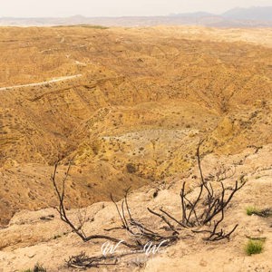 2023-04-28 - Het laatste struikje - verbrand<br/>Ruta del desierto de Gorafe - Gorafe - Spanje<br/>Canon EOS R5 - 32 mm - f/16.0, 1/160 sec, ISO 400