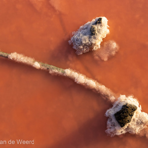 2022-11-14 - Abstracte kunst (zoutpan)<br/>Salinas de Fuencaliente - La Palma - Canarische eilanden - Spanje<br/>Canon EOS R5 - 40 mm - f/11.0, 0.01 sec, ISO 200