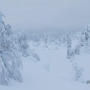 2011-02-07 - Sneeuw, sneeuw, sneeuw<br/>Iso Syöte - Finland<br/>Canon EOS 7D - 24 mm - f/8.0, 0.04 sec, ISO 200
