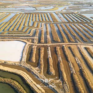 2023-05-07 - Eén groot doolhof (drone)<br/>Cádiz - Spanje<br/>FC3582 - 6.7 mm - f/1.7, 1/1000 sec, ISO 140