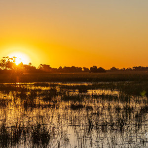 2024-04-30 - Zonsondergang boven het water<br/>Kala Camp - Okavango Delta - Botswana<br/>Canon EOS R6m2 - 100 mm - f/7.1, 1/1600 sec, ISO 800
