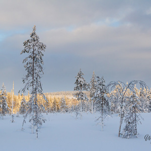2011-02-11 - Onderweg prachtige luchten en kleuren<br/>Iso Syöte - Finland<br/>Canon EOS 7D - 24 mm - f/8.0, 0.01 sec, ISO 200