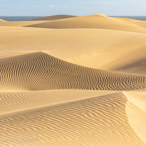 2021-10-26 - De wind heeft voor mooie structuren gezorgd<br/>Las Dunas de Maspalomas - Maspalomas - Gran Canaria - Spanje<br/>Canon EOS 5D Mark III - 100 mm - f/8.0, 1/200 sec, ISO 320