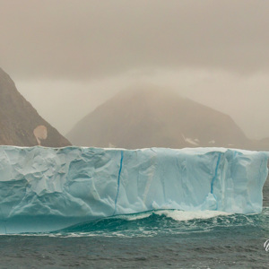 2023-09-20 - Het bleek echt een enorme schots te zijn<br/>Carlsbergfjord - Groenland<br/>Canon EOS R6m2 - 100 mm - f/8.0, 1/500 sec, ISO 800