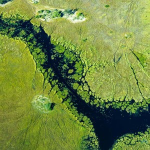 2024-05-01 - De rivier kronkelt door het groene landschap<br/>Onderweg (vliegtuigje) - Okavango Delta - airstrip Kwai R - Botswana<br/>Canon EOS R6m2 - 74 mm - f/7.1, 1/640 sec, ISO 800