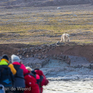2022-07-15 - Vanuit de zodiac konden we de ijsbeer goed zien<br/>Spitsbergen<br/>Canon EOS R5 - 400 mm - f/7.1, 1/640 sec, ISO 800