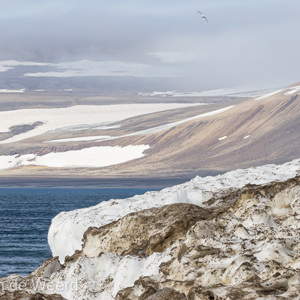 2022-07-18 - Prachtig landschap<br/>Torellneset - Spitsbergen<br/>Canon EOS R5 - 400 mm - f/8.0, 1/1000 sec, ISO 400