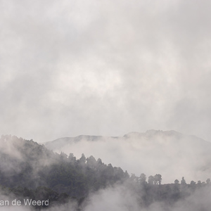 2022-11-12 - Sfeer door de laaghangende wolken<br/>Barlovento - La Palma - Canarische eilanden - Spanje<br/>Canon EOS R5 - 158 mm - f/5.6, 1/800 sec, ISO 400