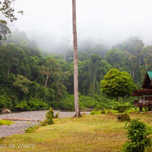 2009-08-21 - We zaten vrij hoog en de bewolking hing laag<br/>Borneo Rainforest Lodge - Danum Valley - Maleisië<br/>Canon EOS 50D - 24 mm - f/4.0, 1/40 sec, ISO 800