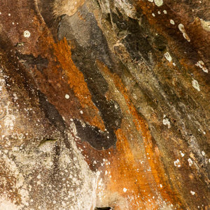 2022-11-12 - Abstracte kunt (La Zarcita)<br/>La Zarza en La Zarcita - La Palma - Canarische eilanden - Spanje<br/>Canon EOS R5 - 105 mm - f/11.0, 1/13 sec, ISO 800