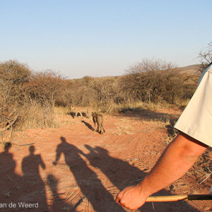 2007-08-23 - We wandelen rustig achter de cheeta's aan<br/>Okonjima Nature Reserve - Otjiwarongo - Namibie<br/>Canon PowerShot S2 IS - 6 mm - f/4.0, 1/500 sec, ISO 50