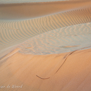 2021-11-02 - Avondrood op de duinen<br/>Las Dunas de Maspalomas - Maspalomas - Gran Canaria - Spanje<br/>Canon EOS 5D Mark III - 100 mm - f/5.6, 0.05 sec, ISO 400