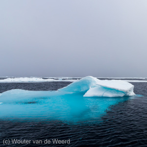 2022-07-16 - Blauwe ijsschots<br/>Pakijs grens op 81,39° NB - Spitsbergen<br/>Canon EOS R5 - 24 mm - f/8.0, 1/500 sec, ISO 400