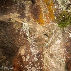 2022-11-12 - Rotstekeningen La Zarcita<br/>La Zarza en La Zarcita - La Palma - Canarische eilanden - Spanje<br/>Canon EOS R5 - 105 mm - f/11.0, 1/6 sec, ISO 800