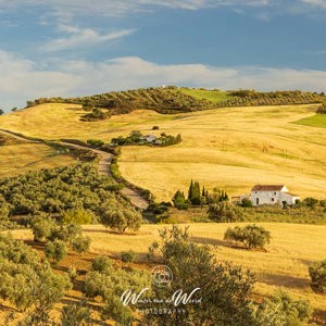 2023-04-30 - Spaans Toscane<br/>Villanueva de la Concepción - Spanje<br/>Canon EOS R5 - 81 mm - f/11.0, 1/250 sec, ISO 400