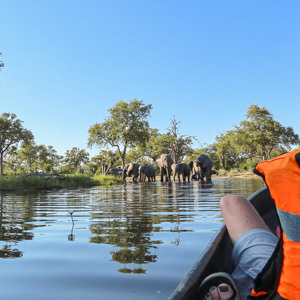 2024-05-02 - Wouter in de kano, op weg naar de olifanten<br/>Kwai river - Kwai (Okavango Delta) - Botswana<br/>Canon PowerShot SX70 HS -  - , , ISO 100