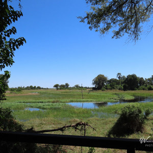 2024-04-30 - Utizicht vanuit de tent op de delta<br/>Kala Camp - Okavango Delta - Botswana<br/>Canon PowerShot SX70 HS -  - , , ISO 100