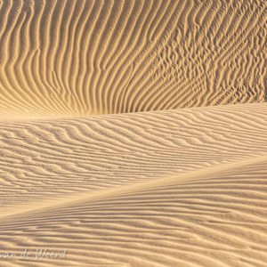 2021-10-26 - Mooie zandstructuren door de wind<br/>Las Dunas de Maspalomas - Maspalomas - Gran Canaria - Spanje<br/>Canon EOS 5D Mark III - 255 mm - f/11.0, 0.01 sec, ISO 320