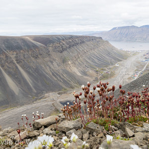 2022-07-21 - Mooi uitzicht richting de baai<br/>Sarkofagen - Lonngyearbyen - Spitsbergen<br/>Canon EOS R5 - 24 mm - f/11.0, 1/30 sec, ISO 200
