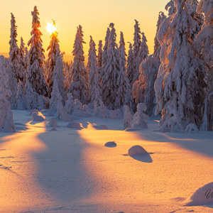 2011-02-12 - Schaduwspel in de sneeuw<br/>Iso Syöte - Finland<br/>Canon EOS 7D - 40 mm - f/11.0, 1/60 sec, ISO 200