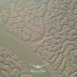 2023-05-06 - Riviertje tussen de hersen-achtige structuur (drone)<br/>Cádiz - Spanje<br/>FC3582 - 6.7 mm - f/1.7, 1/200 sec, ISO 100