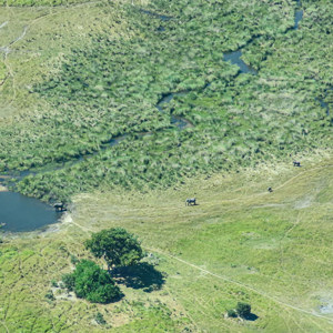2024-05-03 - Mooi om zo de uitgesleten olfantenpaadjes te kunnen zien<br/>Onderweg (vliegtuigje) - Air strip Kwai River – Maun - Botswana<br/>Canon PowerShot SX70 HS -  - , , ISO 100