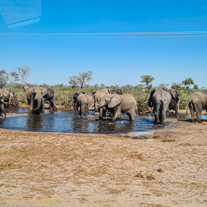2024-05-03 - Langs de weg, bij door olifanten gesloopte waterleidingen<br/>Onderweg Maun - Planet Baobab - Morematao - Botswana<br/>SM-G981B - 5.4 mm - f/1.8, 1/1400 sec, ISO 50