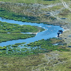 2024-05-01 - Net vóór de landing, een paar olifanten bij het water<br/>Onderweg (vliegtuigje) - Airstrip Jedibe - airstrip Kwai - Botswana<br/>Canon PowerShot SX70 HS -  - , , ISO 100