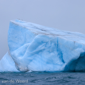 2022-07-17 - Prachtige vormen in de blauwe ijsschots<br/>Kvitoya - Spitsbergen<br/>Canon EOS R5 - 100 mm - f/5.6, 1/1600 sec, ISO 800