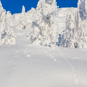 2011-02-13 - Spontaan gevormde sneeuwballen<br/>Iso Syöte - Finland<br/>Canon EOS 7D - 24 mm - f/11.0, 1/200 sec, ISO 100