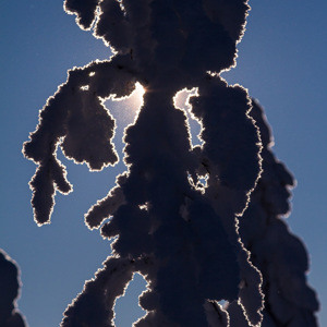 2011-02-13 - Tegenlicht<br/>Iso Syöte - Finland<br/>Canon EOS 7D - 100 mm - f/8.0, 1/2500 sec, ISO 100