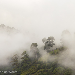 2022-11-12 - Laaghangende wolken<br/>Barlovento - La Palma - Canarische eilanden - Spanje<br/>Canon EOS R5 - 105 mm - f/8.0, 1/160 sec, ISO 400