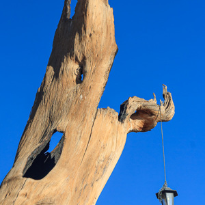 2007-08-15 - Detail van de ingang<br/>Brandberg White Lady Lodge - Uis - Namibie<br/>Canon EOS 30D - 68 mm - f/8.0, 1/400 sec, ISO 200