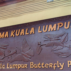 2009-08-28 - Ook hier zijn we naar de vlindertuin geweest<br/>Butterfly Park - Kuala Lumpur - Maleisië<br/>Canon EOS 50D - 24 mm - f/8.0, 1/6 sec, ISO 400