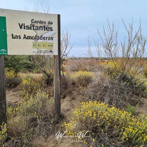2023-04-22 - Het visitor centre - wel vroeg gesloten<br/>Wandeling bij Centro de visitant - Retamar - Cabo de Gata<br/>SM-G981B - 5.4 mm - f/1.8, 1/1900 sec, ISO 50