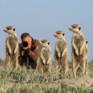 2024-05-04 - Wouter bij de stokstaartjes<br/>Makgadikgadi NP - Gweta - Botswana<br/>Canon PowerShot SX70 HS - 67.1 mm - f/5.6, 1/800 sec, ISO 100