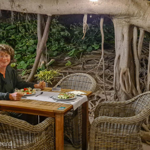 2022-11-10 - Alsof we in de jungle zitten te dineren<br/>Hacienda San Jorge - La Palma - Canarische eilanden - Spanje<br/>SM-G981B - 5.4 mm - f/1.8, 0.04 sec, ISO 1600