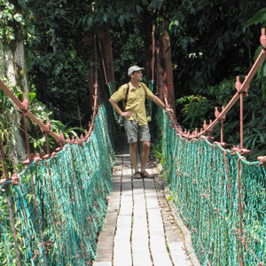 2009-08-21 - Wouter op de hangbrug<br/>Borneo Rainforest Lodge - Danum Valley - Maleisië (Borneo)<br/>Canon PowerShot SX1 IS - 31.9 mm - f/5.0, 1/250 sec, ISO 200