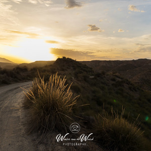 2023-04-27 - Struikje in tegenlicht<br/>Cañada de la Ventanilla - Campi - Gorafe - Spanje<br/>Canon EOS R5 - 24 mm - f/11.0, 1/60 sec, ISO 400