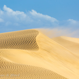 2021-10-26 - Stuivend zand bij de gouden duinen<br/>Las Dunas de Maspalomas - Maspalomas - Gran Canaria - Spanje<br/>Canon EOS 5D Mark III - 400 mm - f/8.0, 1/320 sec, ISO 320