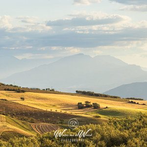 2023-04-30 - Lieflijke bergjes vóór de grote jongens<br/>Villanueva de la Concepción - Spanje<br/>Canon EOS R5 - 153 mm - f/8.0, 1/250 sec, ISO 400