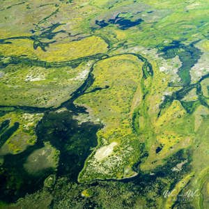 2024-05-01 - Swamp man<br/>Onderweg (vliegtuigje) - Okavango Delta - airstrip Kwai R - Botswana<br/>Canon EOS R6m2 - 40 mm - f/7.1, 1/500 sec, ISO 800