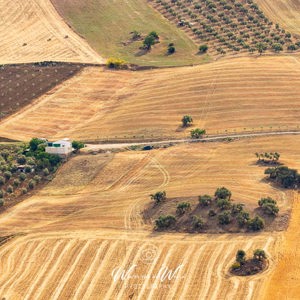 2023-05-02 - Mooi al die kleine lapjes met verschillende gewassen<br/>Villanueva de la Concepción - Spanje<br/>Canon EOS R5 - 227 mm - f/7.1, 1/250 sec, ISO 200