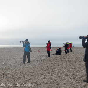 2022-07-18 - Op een rijtje de walrussen fotograferen<br/><br/>Canon PowerShot SX70 HS - 7.5 mm - f/4.5, 1/1000 sec, ISO 100