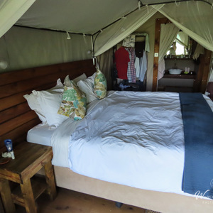 2024-04-30 - Een enorm bed en eigen badkamer in onze tent<br/>Kala Camp - Okavango Delta - Botswana<br/>Canon PowerShot SX70 HS - 3.8 mm - f/3.4, 1/60 sec, ISO 320
