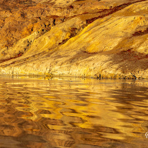 2023-09-18 - Goud-gele reflectie<br/>Muskox fjord - Groenland<br/>Canon EOS R6m2 - 227 mm - f/8.0, 1/400 sec, ISO 400