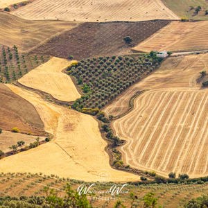 2023-05-02 - Zie je ook het gezicht in het landschap?<br/>Villanueva de la Concepción - Spanje<br/>Canon EOS R5 - 135 mm - f/7.1, 1/320 sec, ISO 200