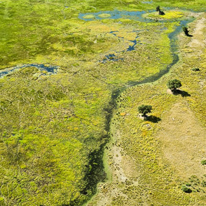 2024-04-29 - Door al het water is het flink groen overal<br/>Onderweg (vliegtuigje) - Kasane - airstrip Jedibe – Kal - Botswana<br/>SM-G981B - 5.4 mm - f/1.8, 1/1400 sec, ISO 50